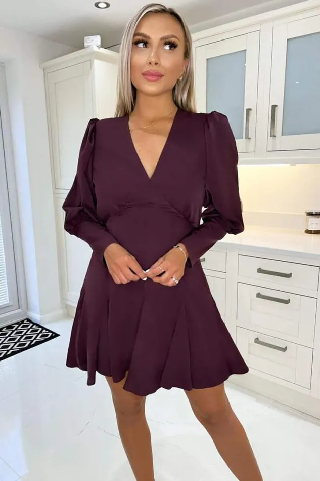 AX Paris Dresses Plum VNeck Long Sleeve Skater Dress