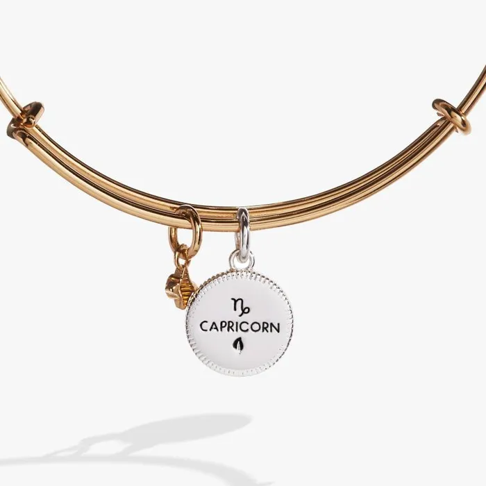 Bracelets Women Alex And Ani Capricorn Zodiac Charm Bangle Two Tone