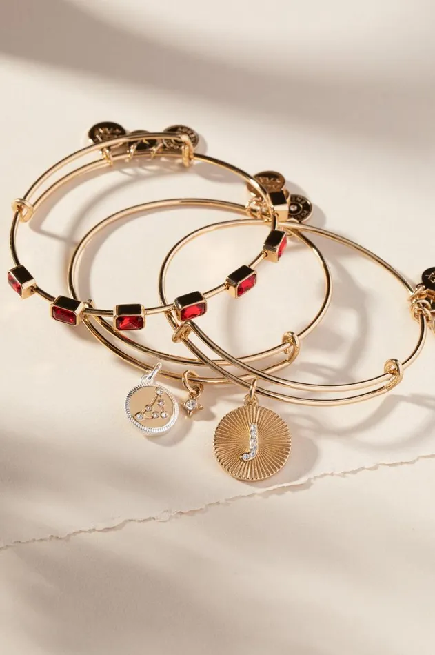 Bracelets Women Alex And Ani Capricorn Zodiac Charm Bangle Two Tone