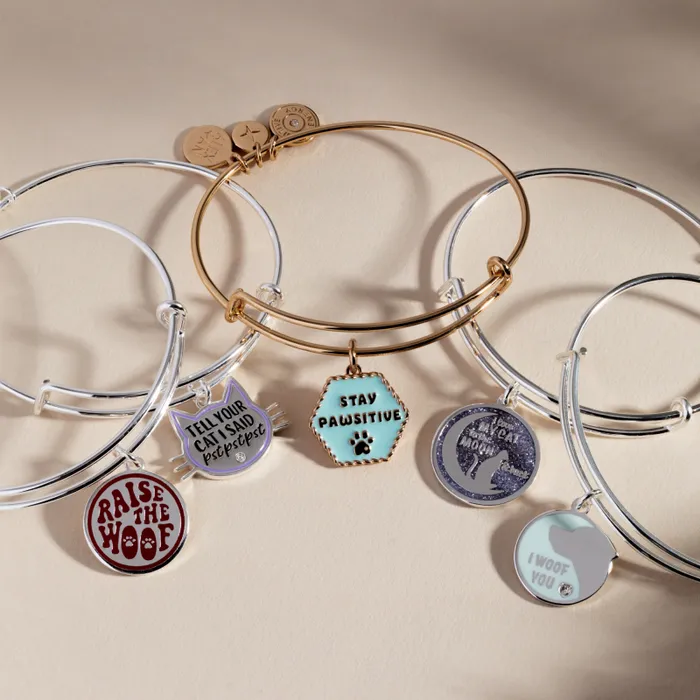 Bracelets Women Alex And Ani Love My Cat To The Moon And Back039 Bangle Silver
