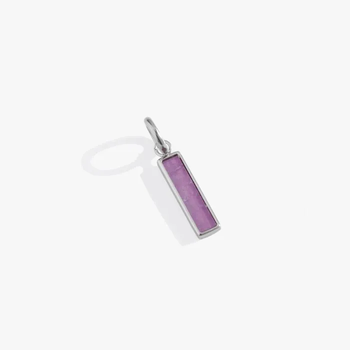 Charms Women Alex And Ani Amethyst Gemstone Interchangeable Bar Charm Stainless Steel Silver