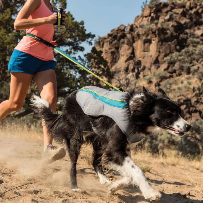 Dog Jackets Dogs Orvis Ruffwear Swamp Cooler Dog Vest