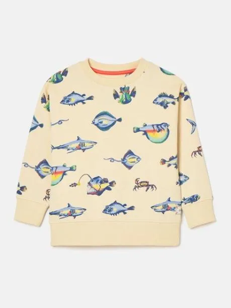 Fleeces and Sweatshirts Boys Joules Neutral Printed Sweatshirt