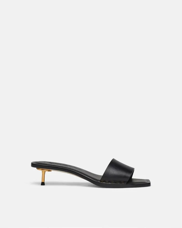 Ibiron Black Women Nanushka Shoes