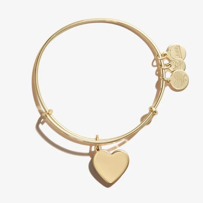 Iconic Women Alex And Ani Heart Charm Bangle Silver