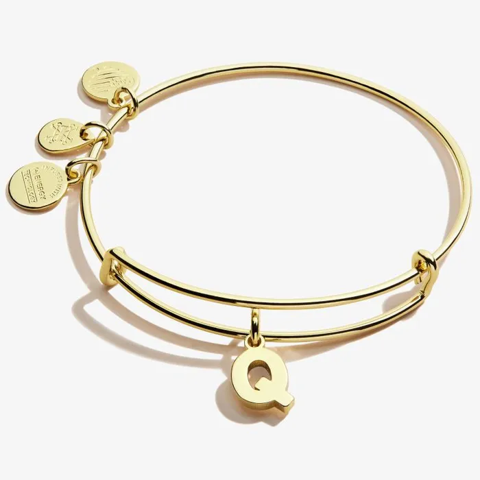 Iconic Women Alex And Ani Initial Q Charm Bangle Silver