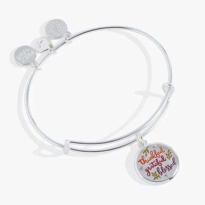 Iconic Women Alex And Ani Thankful Mantra Charm Bangle Silver