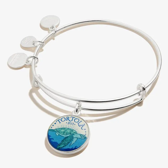 Iconic Women Alex And Ani Tortola Charm Bangle Rose Gold