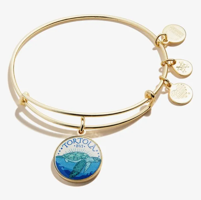 Iconic Women Alex And Ani Tortola Charm Bangle Rose Gold