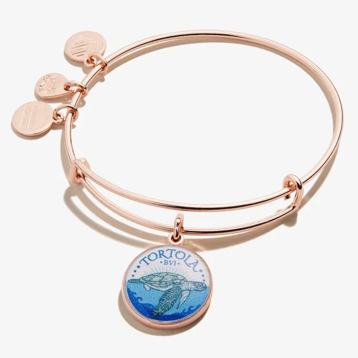 Iconic Women Alex And Ani Tortola Charm Bangle Rose Gold