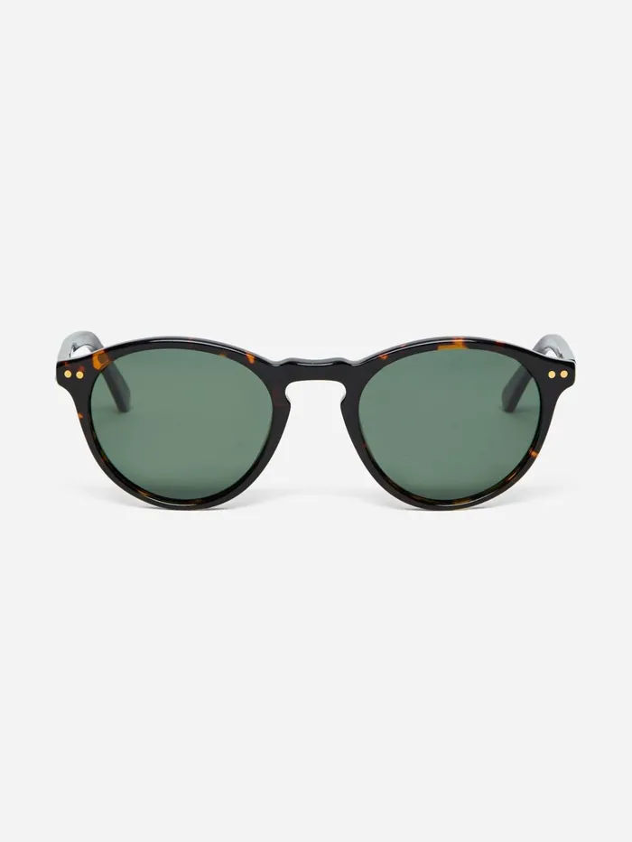 JMclaughlin Bartleby Sunglasses Dark Tortoisegreen Women Eyewear