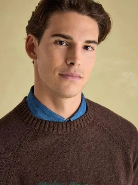 Jumpers and Knitwear Men Joules Brown Intarsia Crew Neck Jumper