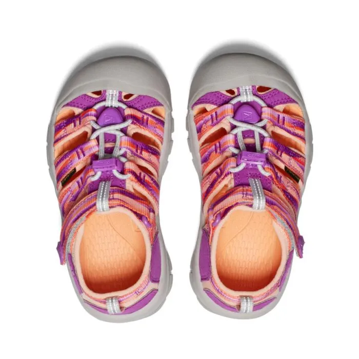Little Kids039 Newport H2 WillowherbTangerine Sandal Kids KEEN Little Kids Little Kids039 Newport H2 WillowherbTangerine Sandal Kids KEEN Little Kids