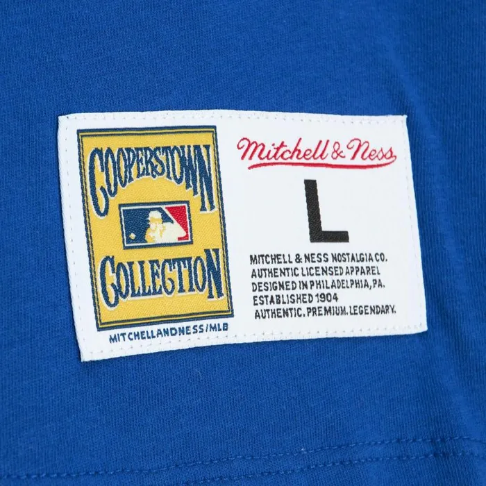 Mitchell and Ness Color Blocked SS Tee New York Mets Men TShirts and Tops Mitchell and Ness Color Blocked SS Tee New York Mets Men TShirts and Tops