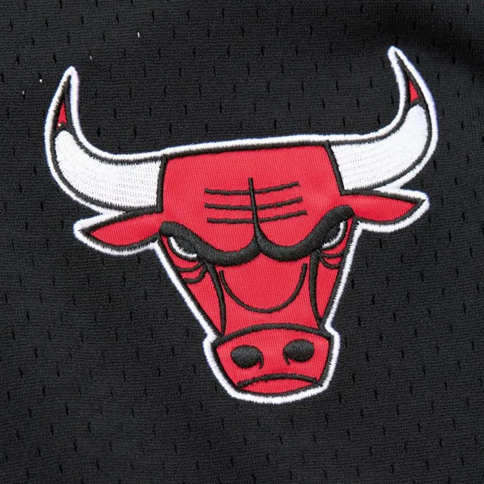 Mitchell and Ness Fashion Mesh VNeck Vintage Logo Chicago Bulls Men TShirts and Tops Mitchell and Ness Fashion Mesh VNeck Vintage Logo Chicago Bulls Men TShirts and Tops