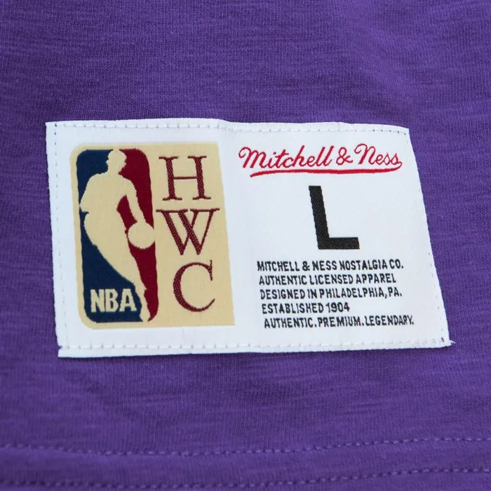 Mitchell and Ness Legendary Slub SS Tee Toronto Raptors Men TShirts and Tops Mitchell and Ness Legendary Slub SS Tee Toronto Raptors Men TShirts and Tops