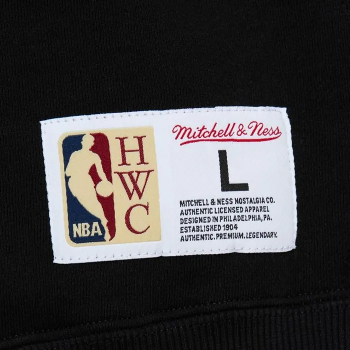 Mitchell and Ness Tonal Logo Heavyweight Fleece Toronto Raptors Men Hoodies and Sweatshirts Mitchell and Ness Tonal Logo Heavyweight Fleece Toronto Raptors Men Hoodies and Sweatshirts