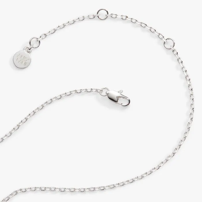 Necklaces Women Alex And Ani Heart And Crystal Necklace Silver