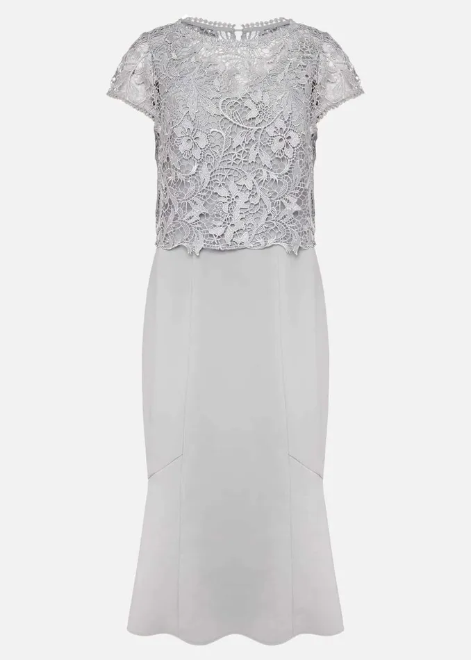 Phase Eight Dresses Alisha Double Layer Lace Peplum Dress Mineral 8211 Women Phase Eight Dresses Alisha Double Layer Lace Peplum Dress Mineral 8211 Women