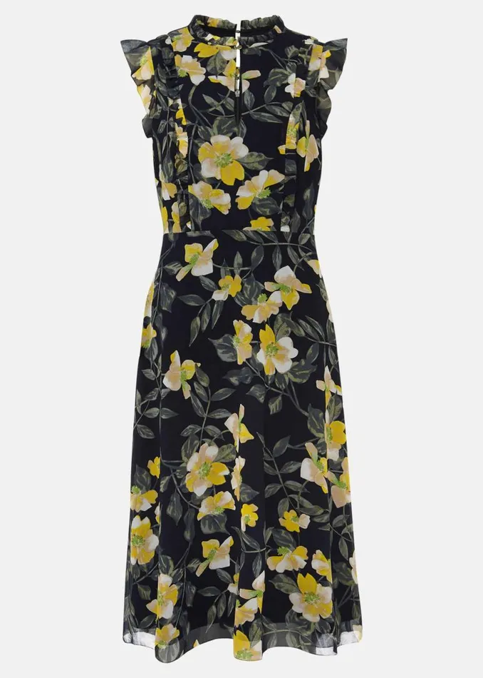 Phase Eight Dresses Evie Floral Dress Navymulti 8211 Women