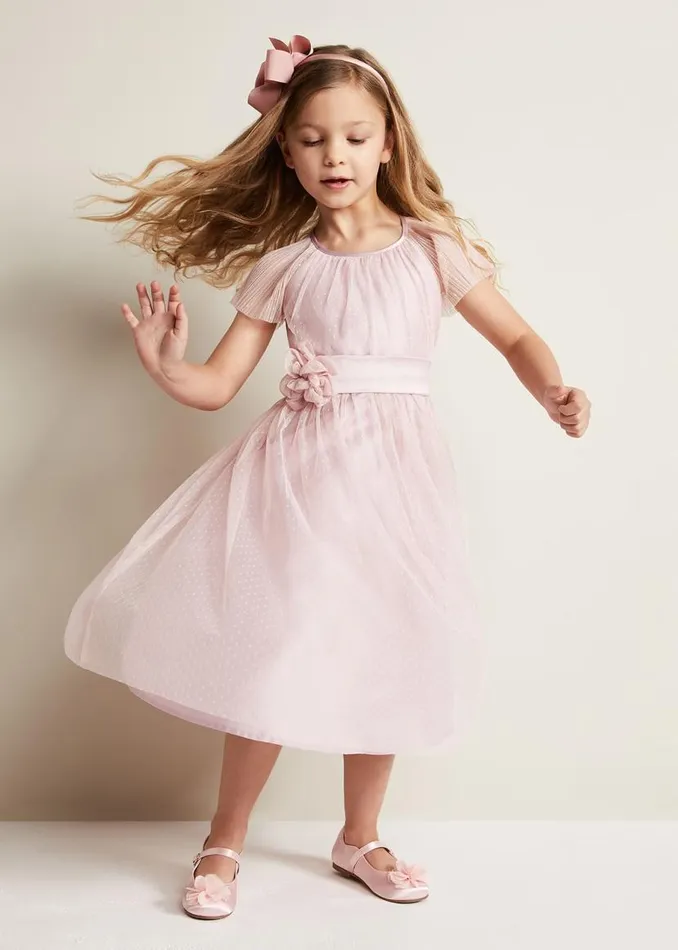 Phase Eight Dresses Jasmine Tulle Fit And Flare Dress Antique Rose 8211 Women