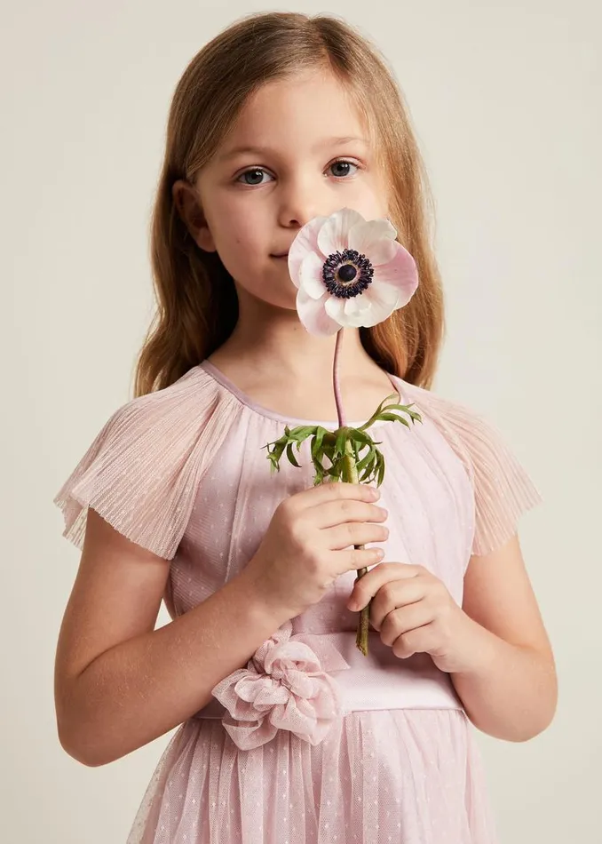 Phase Eight Dresses Jasmine Tulle Fit And Flare Dress Antique Rose 8211 Women