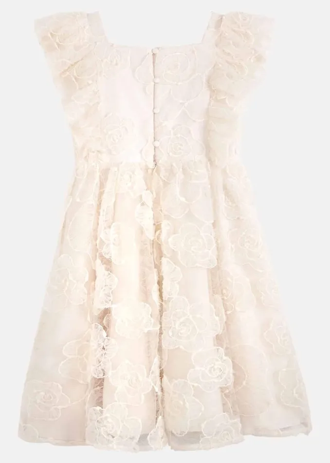 Phase Eight Dresses Rosa Lace Applique Smock Dress Cream 8211 Women