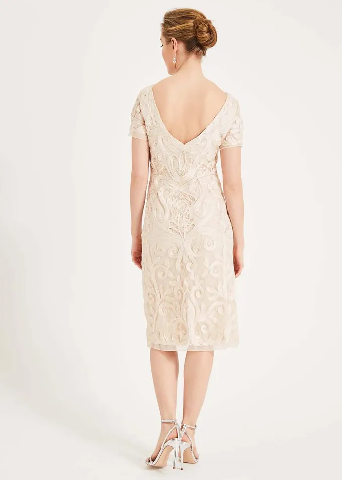 Phase Eight Dresses Rosalie Tapework Lace Dress Cream 8211 Women