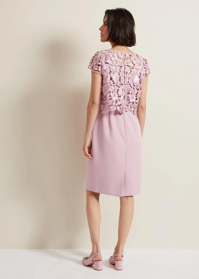 Phase Eight Dresses Tallula Lace Dress Pink 8211 Women