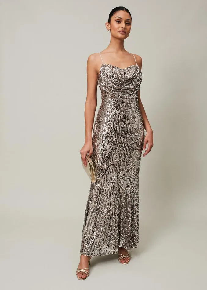 Phase Eight Dresses Thalia Sequin Maxi Dress Silver 8211 Women