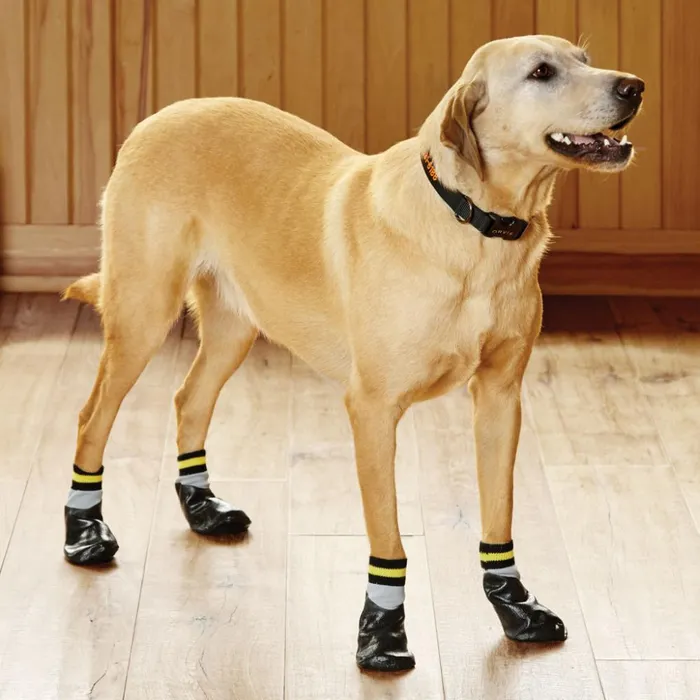 Steps Lifts and Traction Dogs Orvis Dog Traction Socks