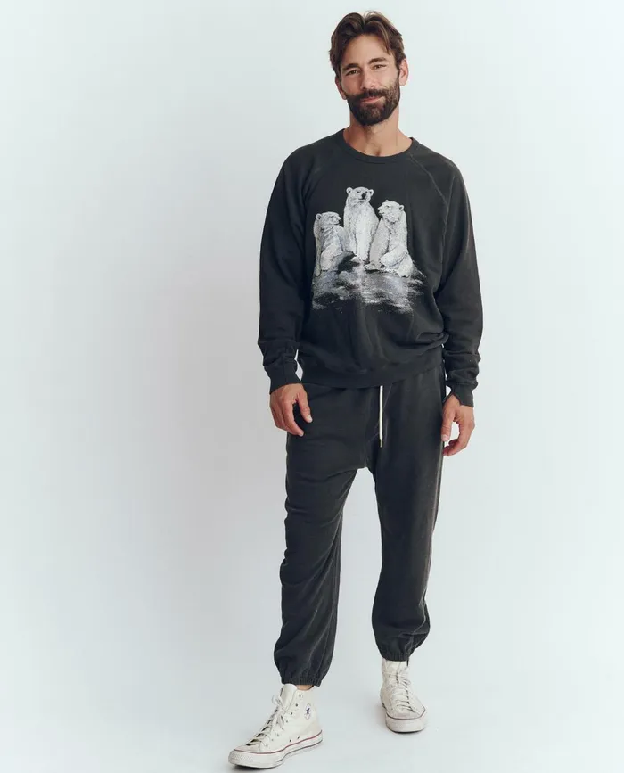 Tees and Sweats Men The Great The Men039s College Sweatshirt Graphic Washed Black With Polar Bear