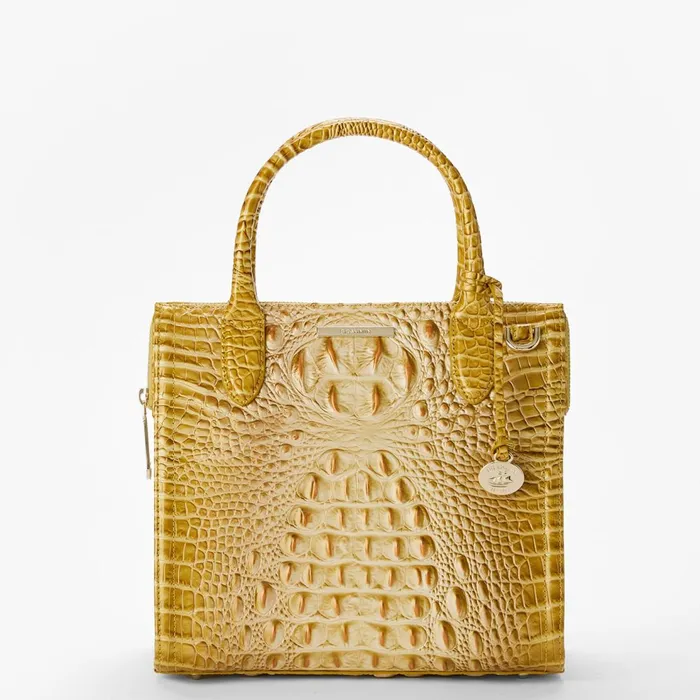 Women Brahmin Satchels Small Caroline Golden Rod Ombre