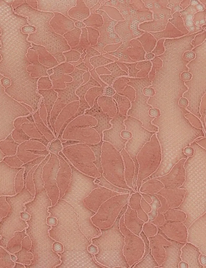 Women Tops Zimmermann Lace Bodysuit Blush