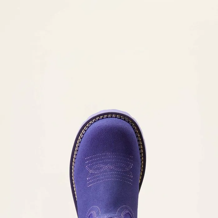 Women Western Boots Ariat Fatbaby Western Boot Violet Suedepurple Metallic Women Western Boots Ariat Fatbaby Western Boot Violet Suedepurple Metallic